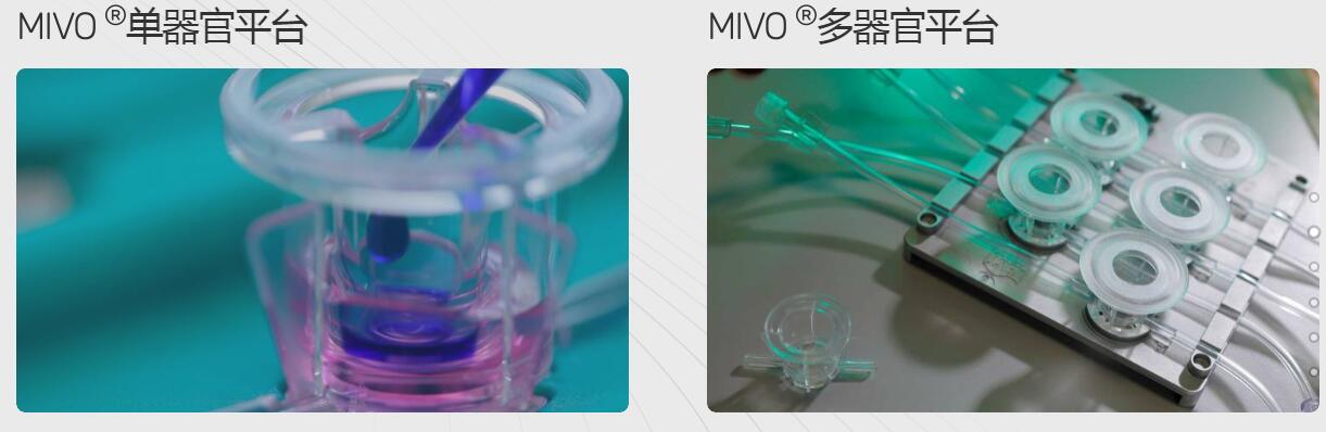 1667921169469050722.jpg QQ截图20221108232834.jpg