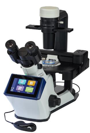 1667922816083040288.jpg 2.jpg