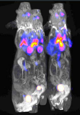 1669263314664037827.png QQ截图20221124121616.png