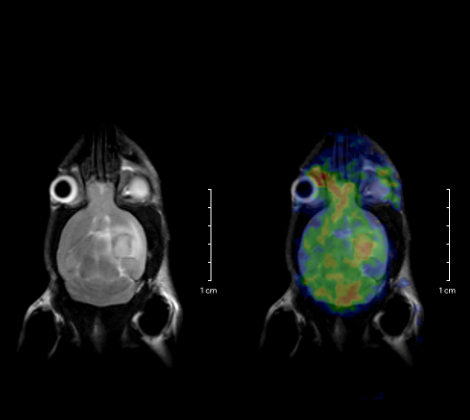 1669263365486028614.png QQ截图20221124121622.png