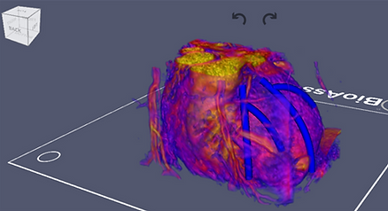 在 TSM 中查看医学图像