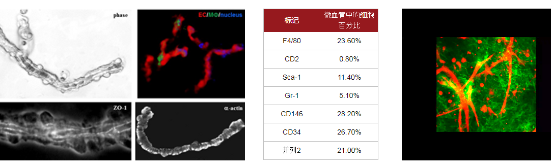 1671872282685087784.png QQ截图20221224170100.png