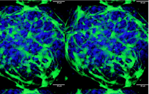 1671872513861066516.png QQ截图20221224170522.png