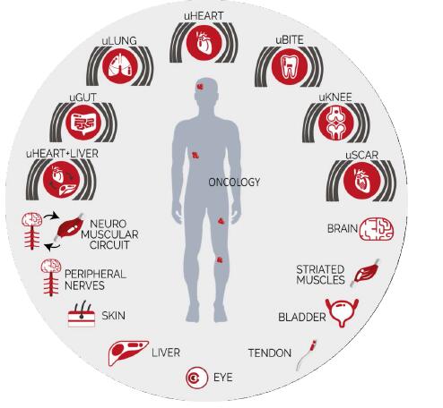1672370189768075260.jpg QQ截图20221230111945.jpg