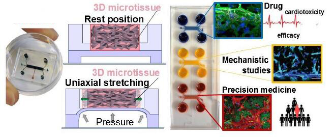 1672370795126053477.jpg QQ截图20221230112842.jpg