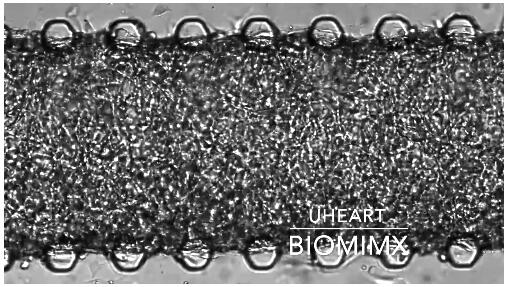 1672372407831007802.jpg QQ截图20221230115721.jpg