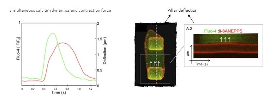 1684210709592043217.jpg QQ截图20230516121352.jpg