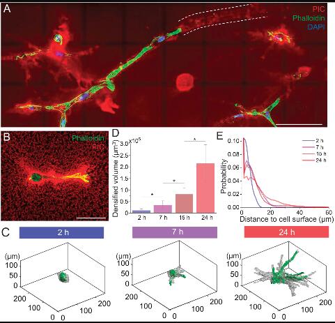 1686022585327047499.jpg QQ截图20230606113556.jpg