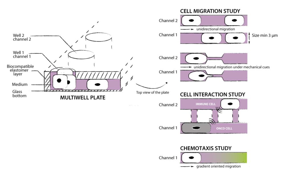 1686469988166042331.jpg Schéma-microcanaux-without-claims-without-FMP-2-1000x613.jpg