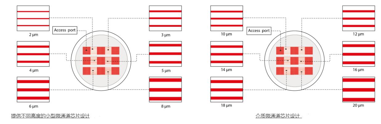 1686470653318086277.jpg 细胞迁移微通道培养皿2.jpg