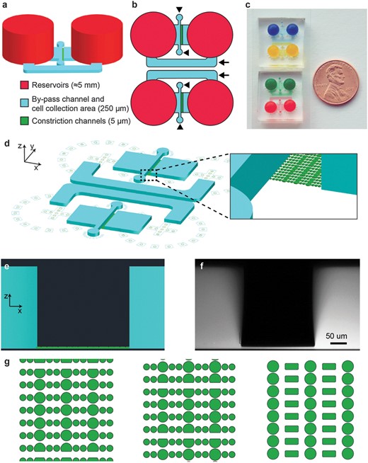 1686539739136040195.jpeg 细胞迁移受限微流控装置.jpeg