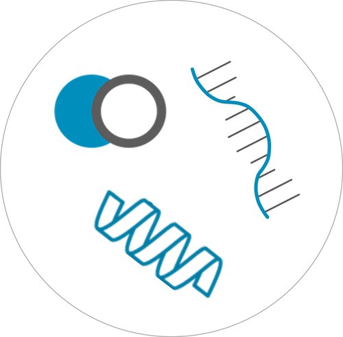 1687775109169044569.jpg 将运动和性能与多组学分析相结合.jpg