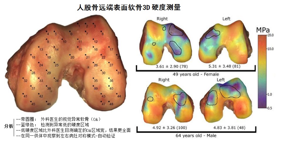 1690792776441095307.jpg 3D-4.jpg