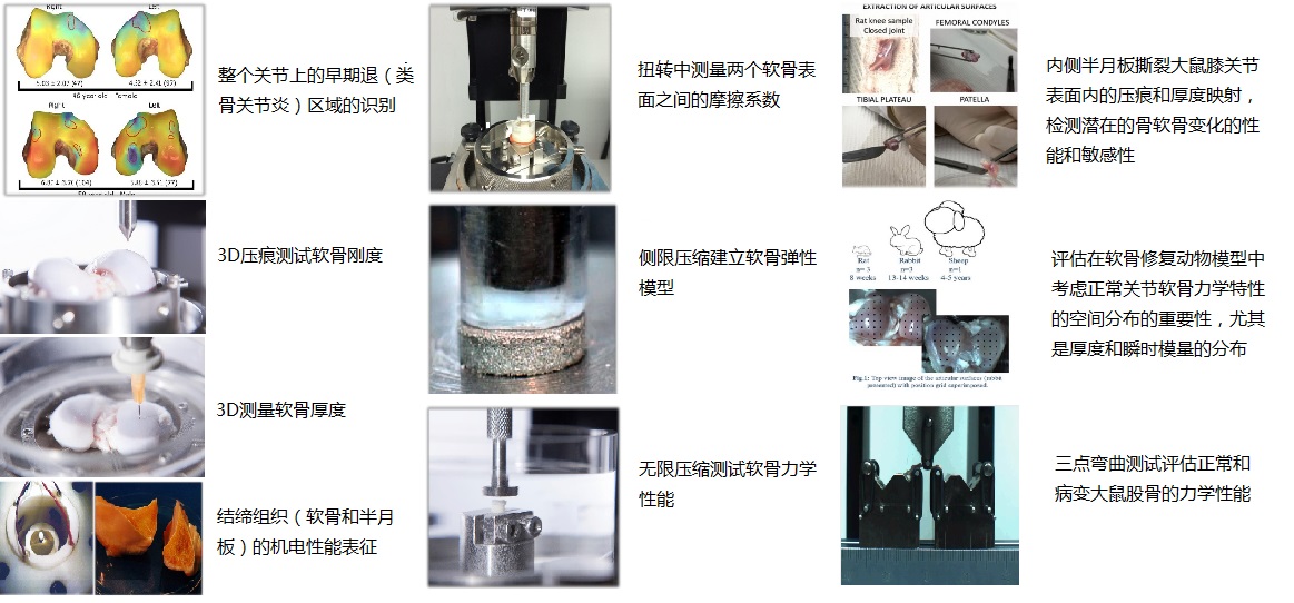 1690794463916015437.jpg 骨关节2.jpg