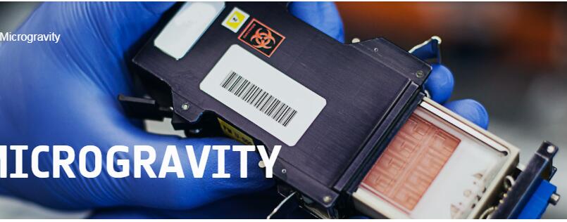 1691027627971074885.jpg 1.jpg