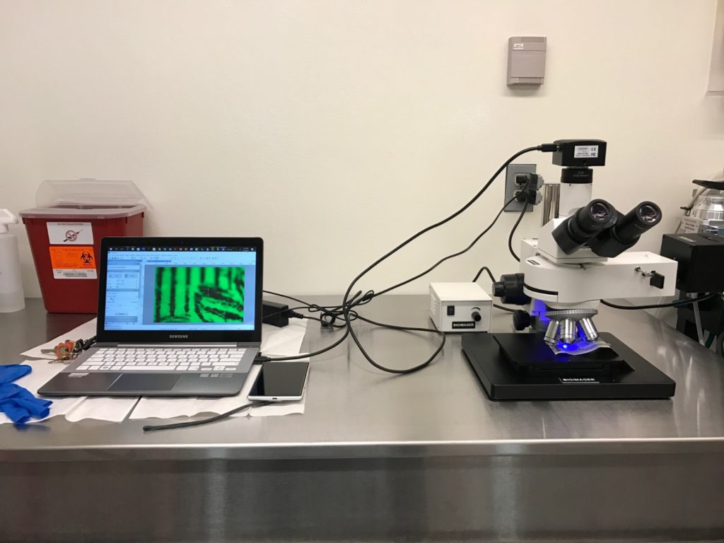 1692806886761020721.jpg 高分辨率高功率体内荧光成像系统.jpg