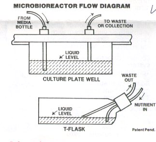 1694500718316091503.png 2e4be141c792d58aaed2614bfb31676.png