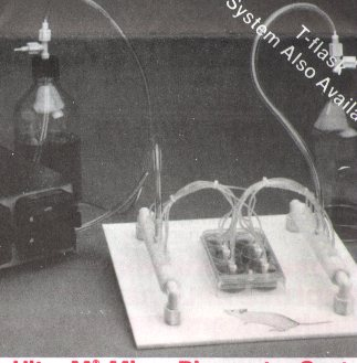 1694500762945049099.png 90ef8bc7f97976b05ef4687a2f307b9.png