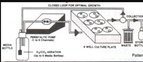 1694500820391001687.png image.png