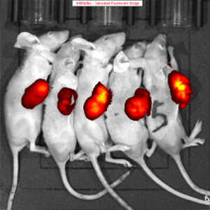 1715913557924096785.jpg 1710920249125923.jpg