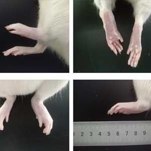 1715914261918065540.jpg 1710920529800128.jpg