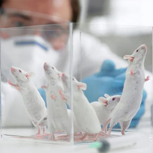 1715914396667012541.jpg 1710920538171795.jpg