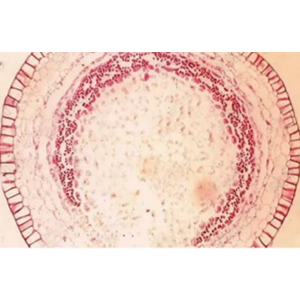 1715914521025049005.jpg 1710920558989992.jpg