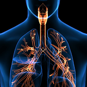 1715916600662028814.jpg 1710937020153617.jpg