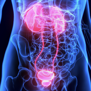 1715916904120058730.jpg 1710937035887465.jpg