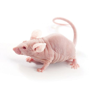 1715917173734098271.jpg 1710937074539786.jpg