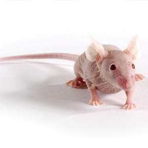 1715917408451048928.jpg 1710937084480855.jpg