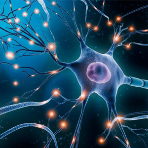 1715942177192042177.jpg 1710937007146865.jpg