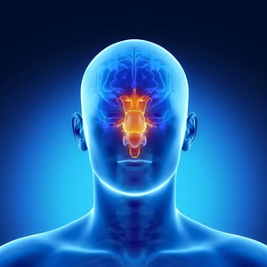 1715942518583086884.jpg 1710937038298178.jpg