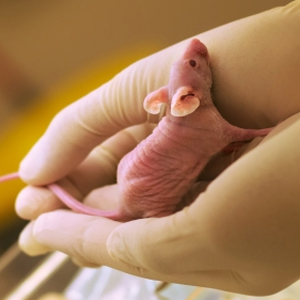 1715942650695036137.jpg 1710937401106760.jpg