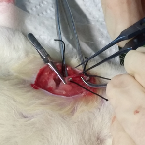 1715942705449029160.jpg 1710937081552797.jpg