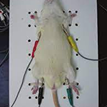 1715947403609031567.png 1711420521542513.png