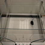 1715947766654069367.png 1711420534205683.png