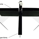 1715947943310063831.png 1711420554122459.png