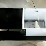 1715947975645050408.png 1711420557137617.png