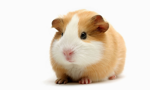 1715949063614004849.png 1711464064189323.png