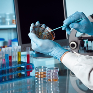 1716173004753065230.jpg 1710920569200487.jpg