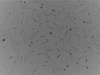 1716173536428096721.jpg 1711966962202720.jpg