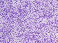 1716173566366099220.jpg 1711966986867940.jpg