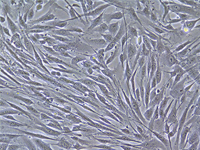 1716173622215079915.jpg 1711967038177865.jpg