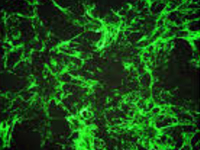 1716173722204002424.jpg 1711967147143861.jpg