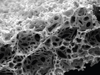 1716173788199091316.jpg 1711967229664749.jpg