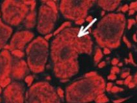 1716173817841000894.jpg 1711967261901580.jpg