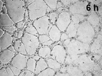 1716173847567020707.jpg 1711967270923192.jpg