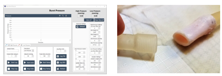 1729498363942004626.png 1729498482213.png