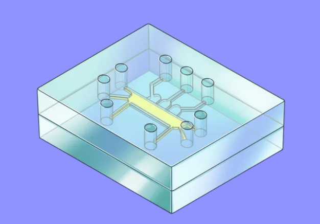 1735020901049045772.png image.png